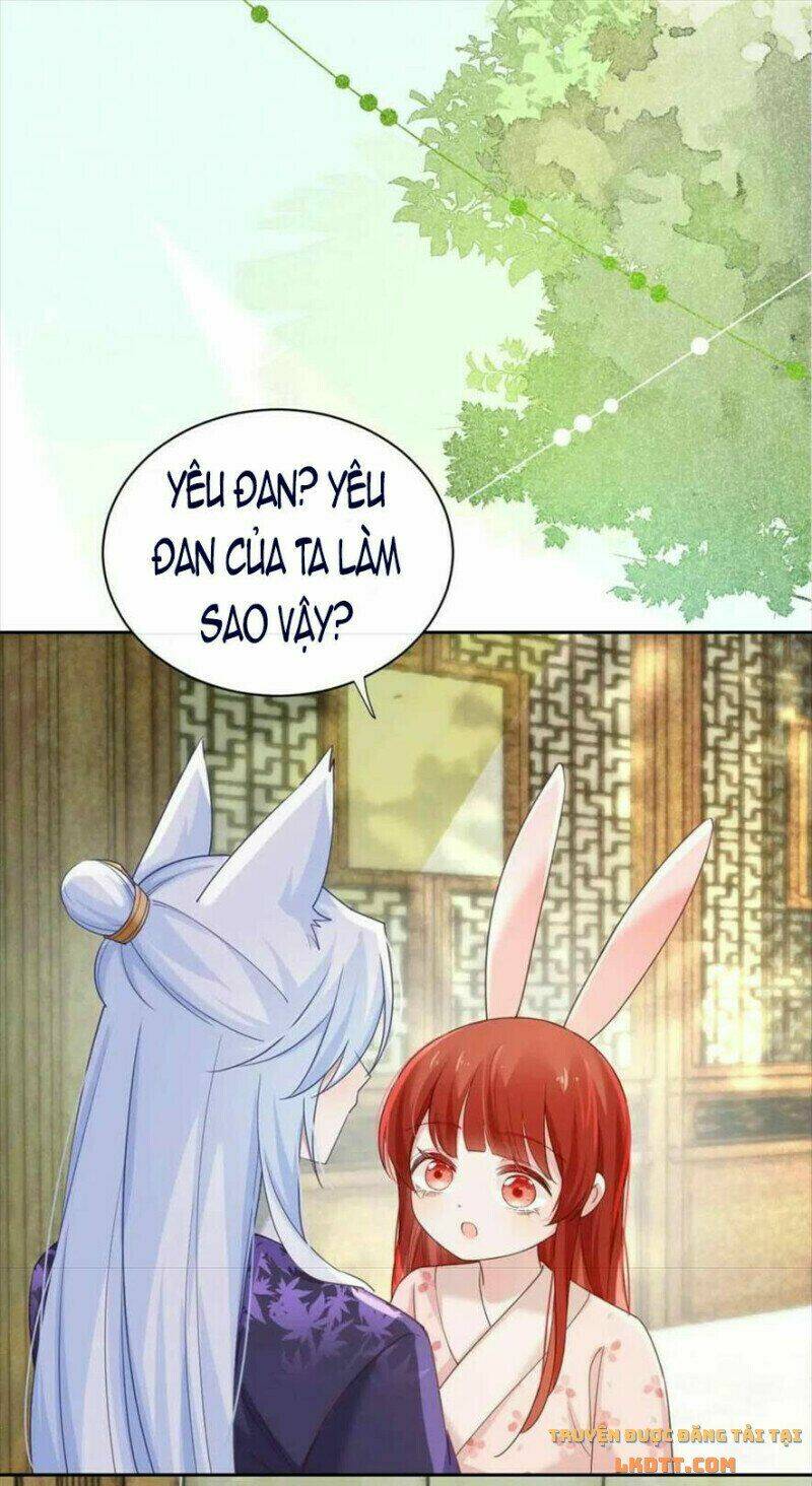 hắc hóa nam chính trực tuyến nuôi thỏ chapter 60 19