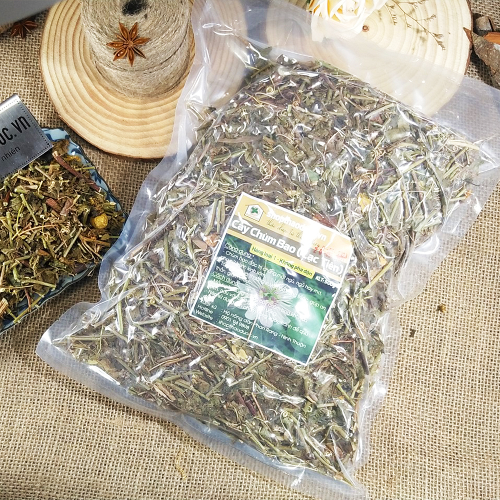 Cây Chùm Bao Shop Thảo Dược Gói 500G - Giúp An Thần Dễ Ngủ, Thanh Nhiệt Giải Độc