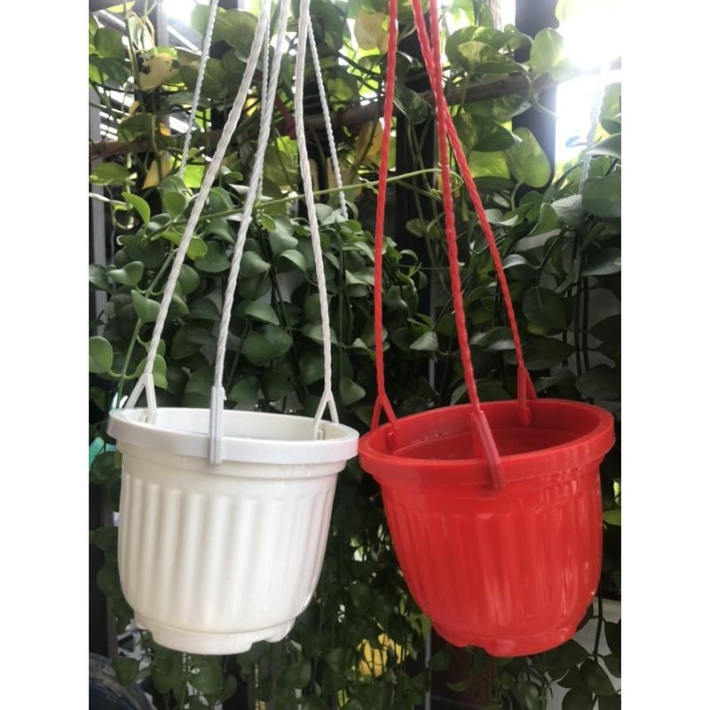 Chậu bí treo 10 chậu kèm dây màu trắng