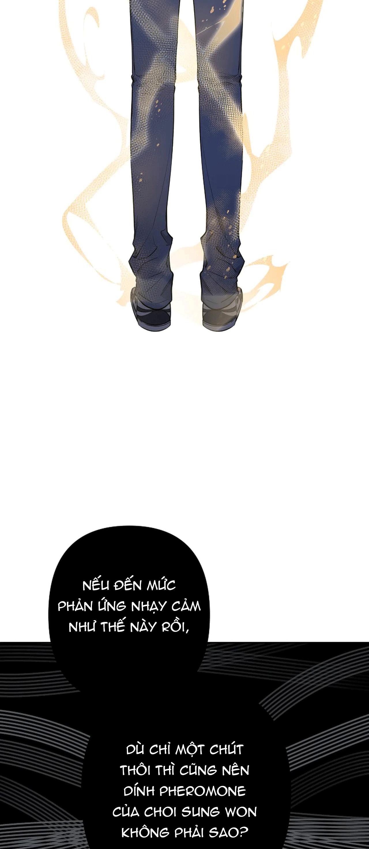 đêm dịu dàng chapter 33 40