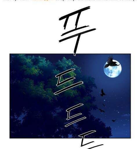 kim giáp đồ long chapter 14 20