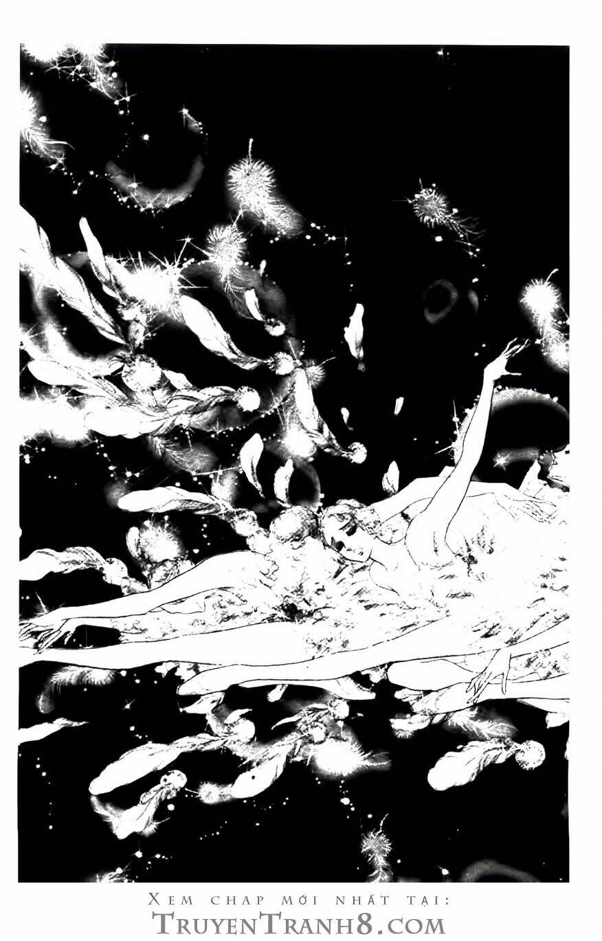 swan - vũ khúc thiên nga chapter 84 1