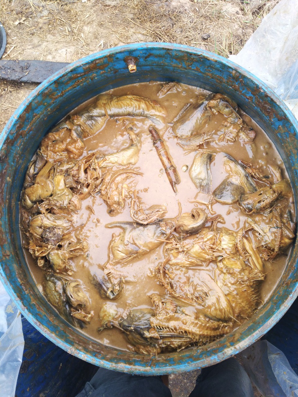 Đạm Cá Dùng Trong Nông Nghiệp Can 5 Lít