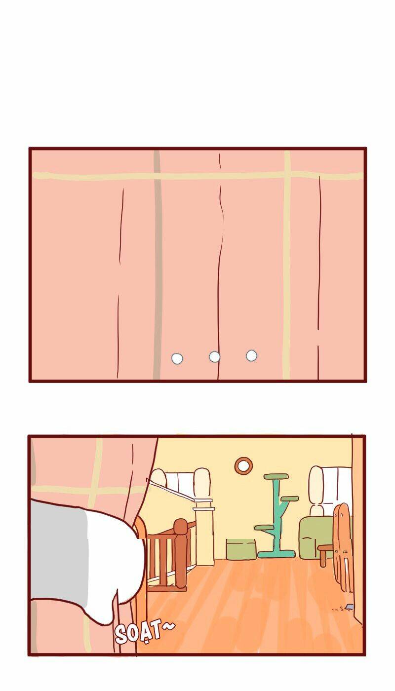 saphie: chú mèo một mắt chapter 13 10