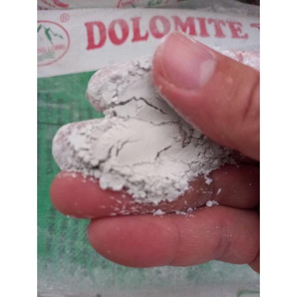 5kg vôi DOLOMITE Hà Nam chuyên dùng cho ốc bưu nuôi, mềm vỏ, chậm lớn..
