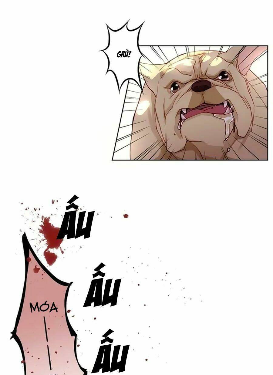 trọng sinh chi tinh quang thôi xán chapter 5 6