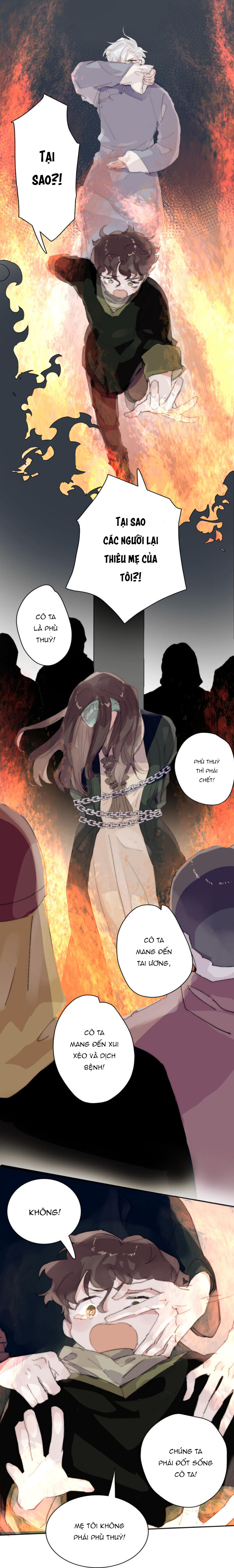 ngủ mê trong trang sách của tôi chapter 8 14