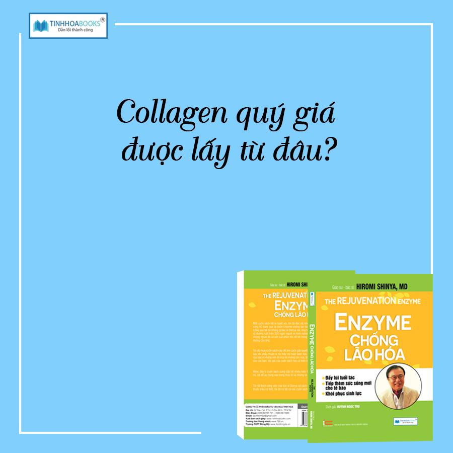 Combo sách: Nhân Tố Vi Sinh + Enzyme Chống Lão Hoá + Ăn lành sống mạnh Trái đất thêm xanh - Sức mạnh của chế độ ăn thuần thực vật