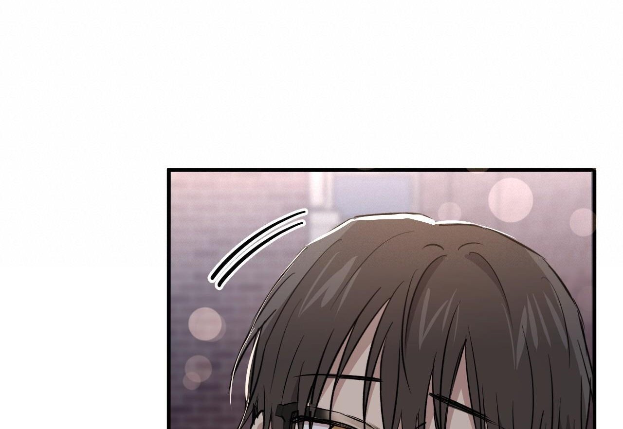 những chú thỏ của hapypy chapter 59 60