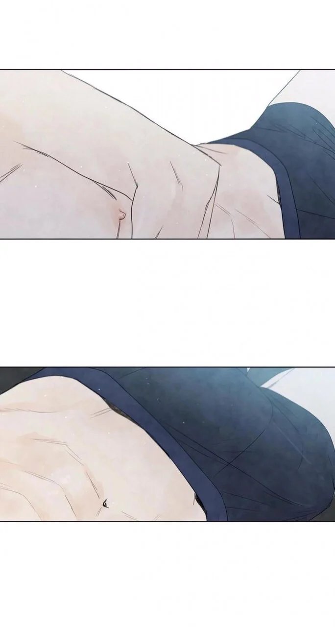 summer solstice point chapter 15 18