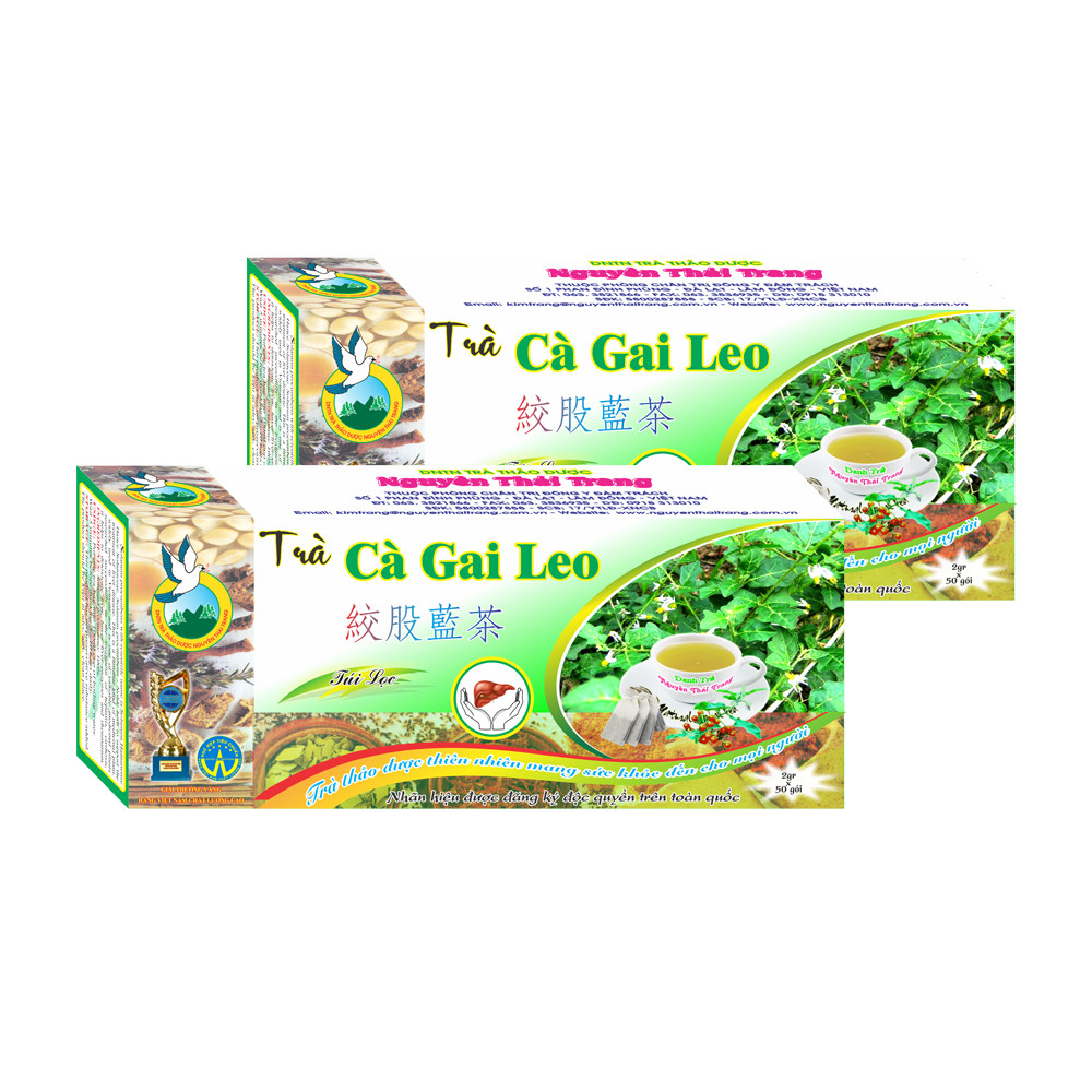 Combo 3 Hộp Trà Cà Gai Leo Giải Độc Trị Viêm Gan (Hộp 50 Túi Lọc X 2g)- Nguyên Thái Trang – Thảo Dược Thiên Nhiên – Tốt Cho Sức Khỏe