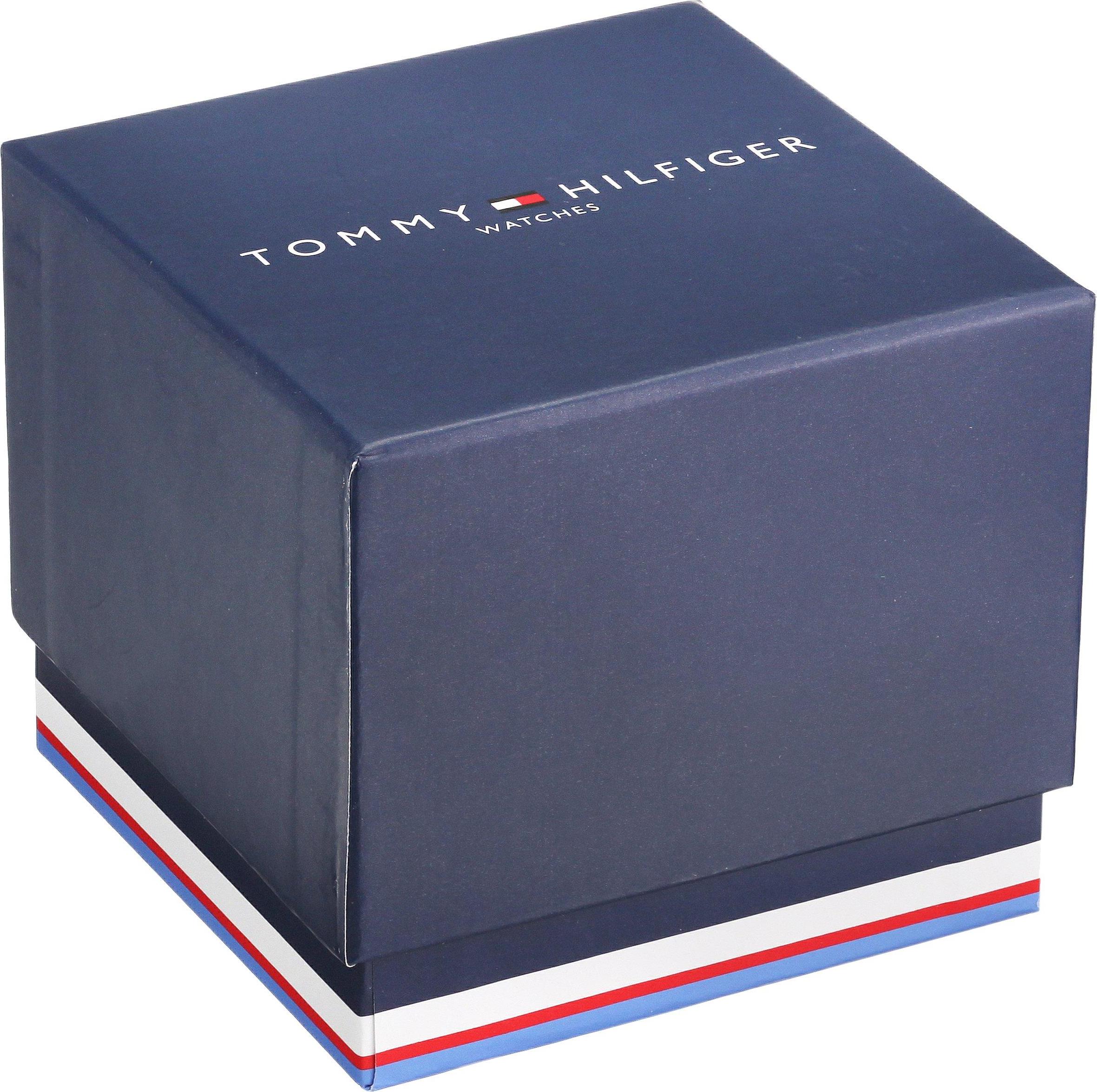 Men's Watch \\ TOMMY HILFIGER 1790877