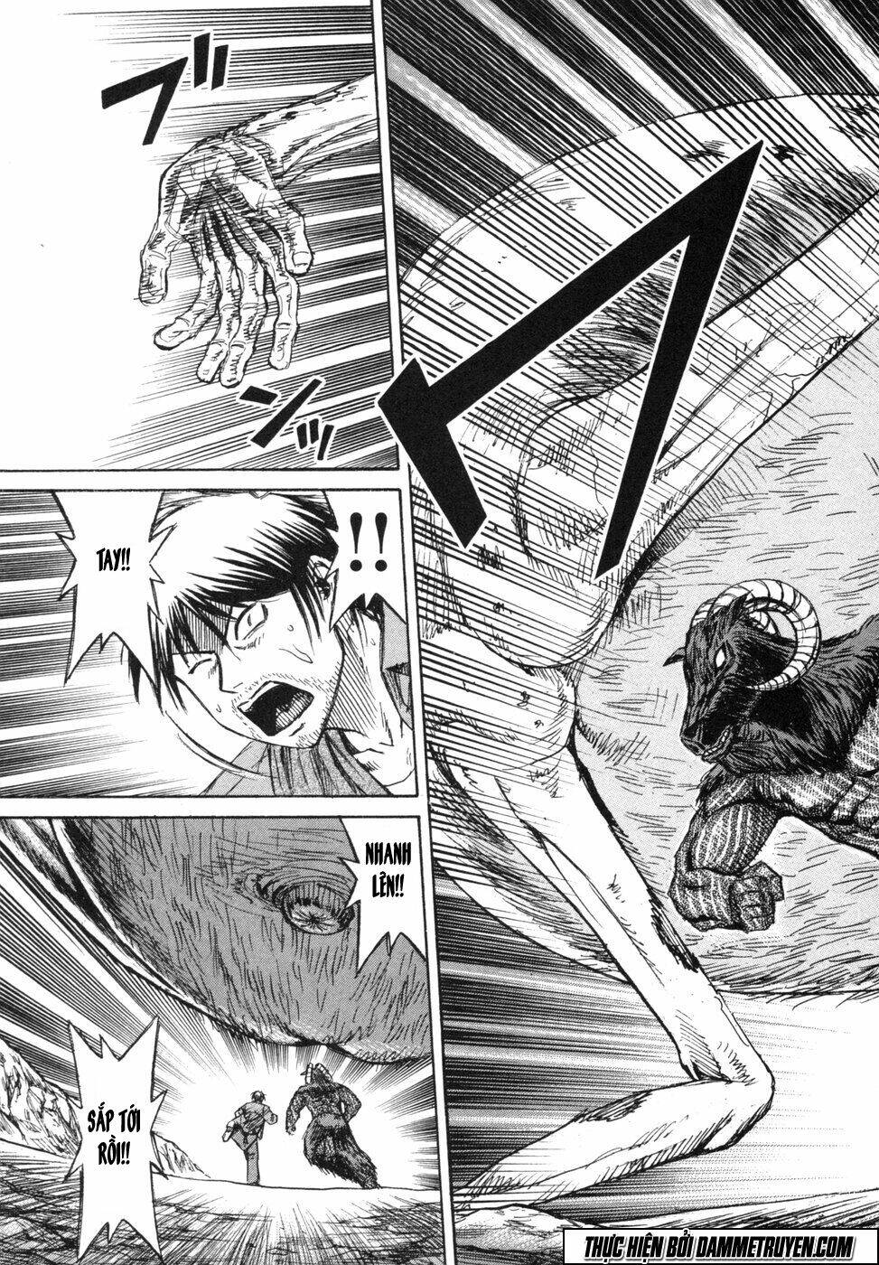 đảo ma cà rồng chapter 245 13