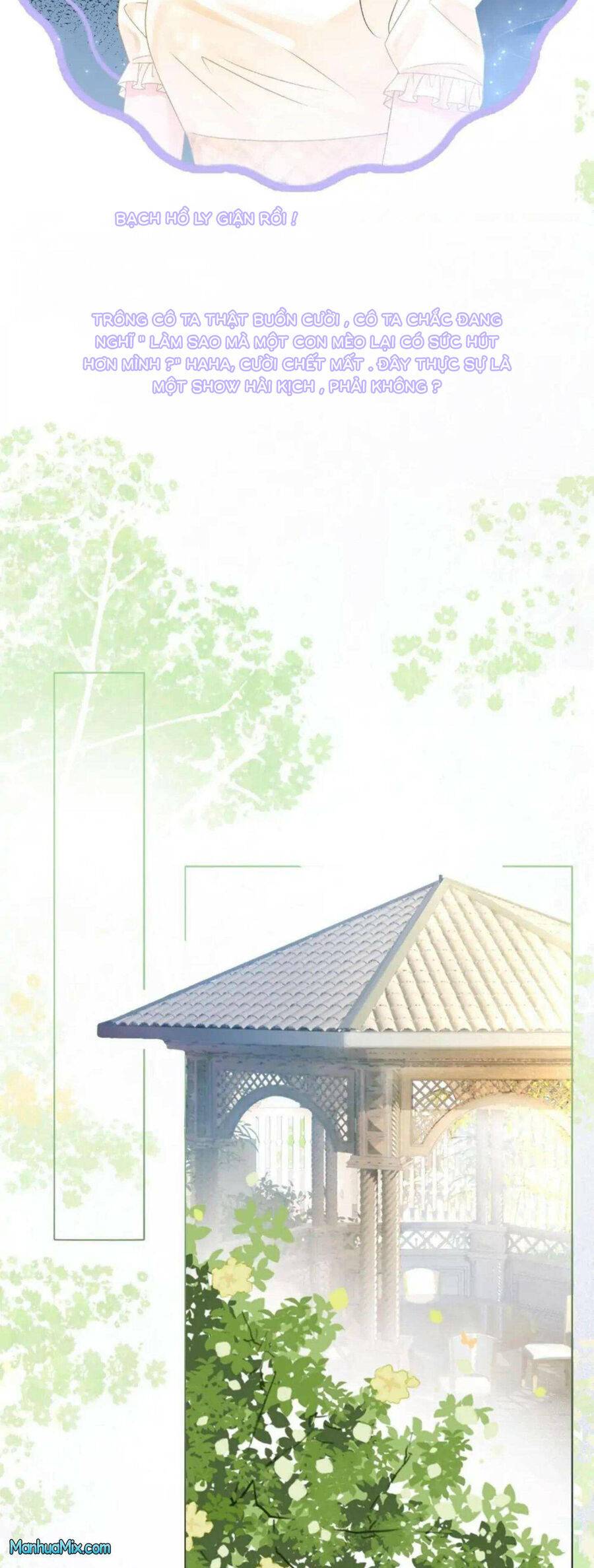 cô ấy ngày nào cũng lên hot search! chapter 41 24