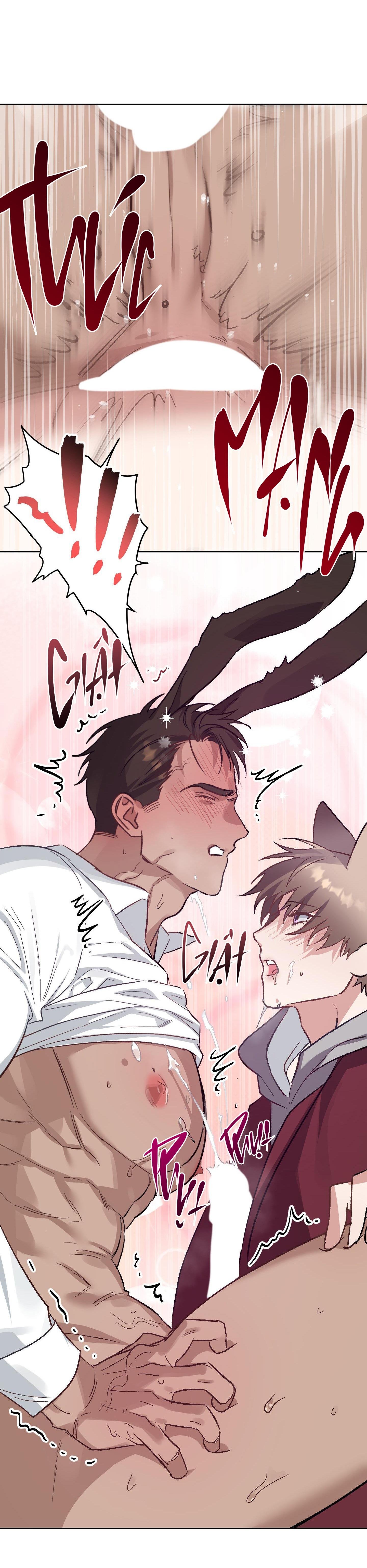 thỏ xuất tinh trong 3 giây chapter 12 71