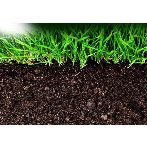 Đất trồng cây hữu cơ giàu chất dinh dưỡng viên nén sơ dừa cải tạo đất tơi xốp, làm giá thể hoa cây cảnh rau củ quả