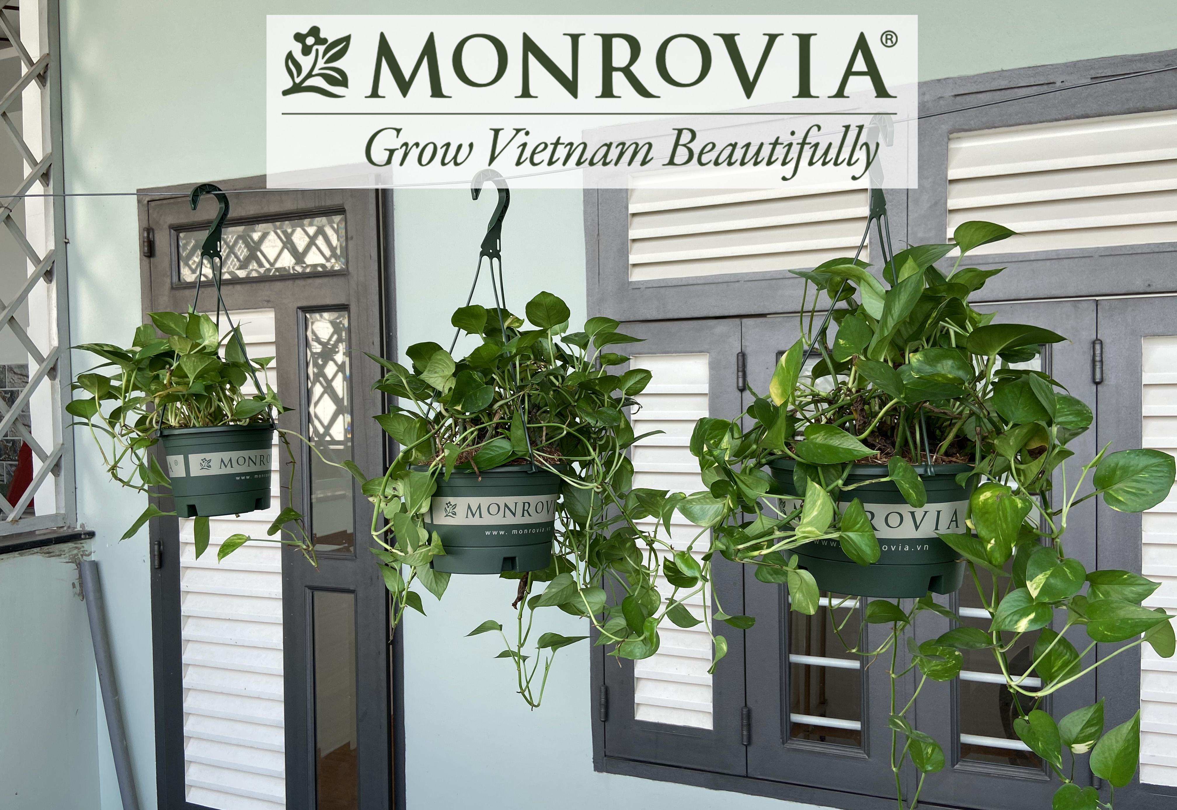 3 Chậu treo trồng cây MONROVIA Size S, Dòng T-series, chậu nhựa treo trang trí, trồng cây cảnh ban công, chậu trồng hoa, thiết kế tinh tế, thoát nước tốt, nhựa cao cấp PP, nhập khẩu, tiêu chuẩn Châu Âu