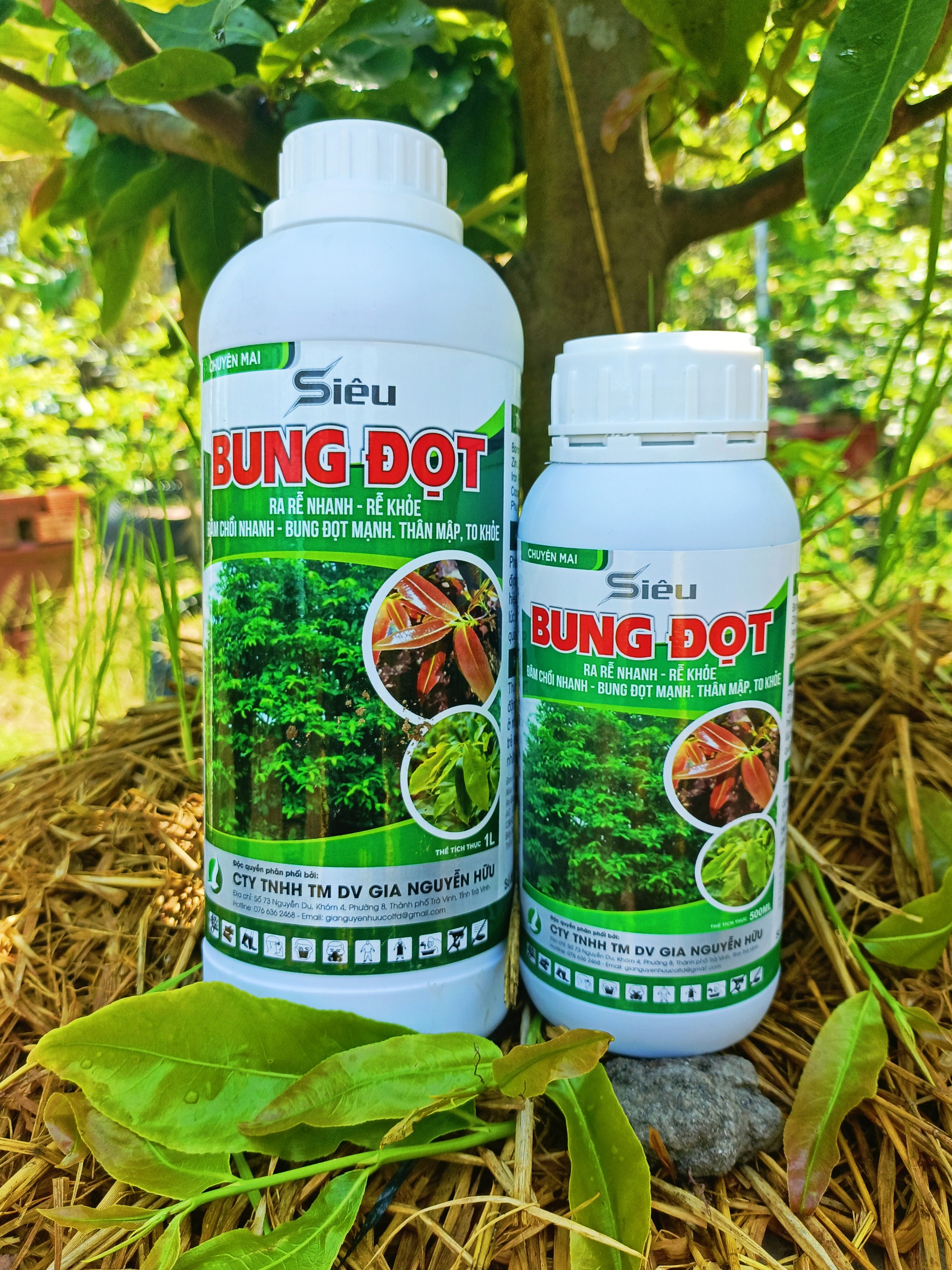 SIÊU BUNG ĐỌT - chuyên mai chai 500ml và 1L