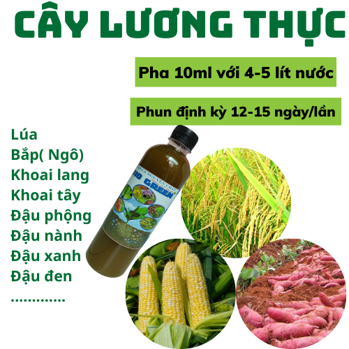 Chai 500ml- Đạm Cá nguyên chất BIOGREEN -KHÔNG CHẤT PHỤ GIA, CHIẾT XUẤT TỪ NGUỒN ĐẠM CÁ TINH KHIẾT