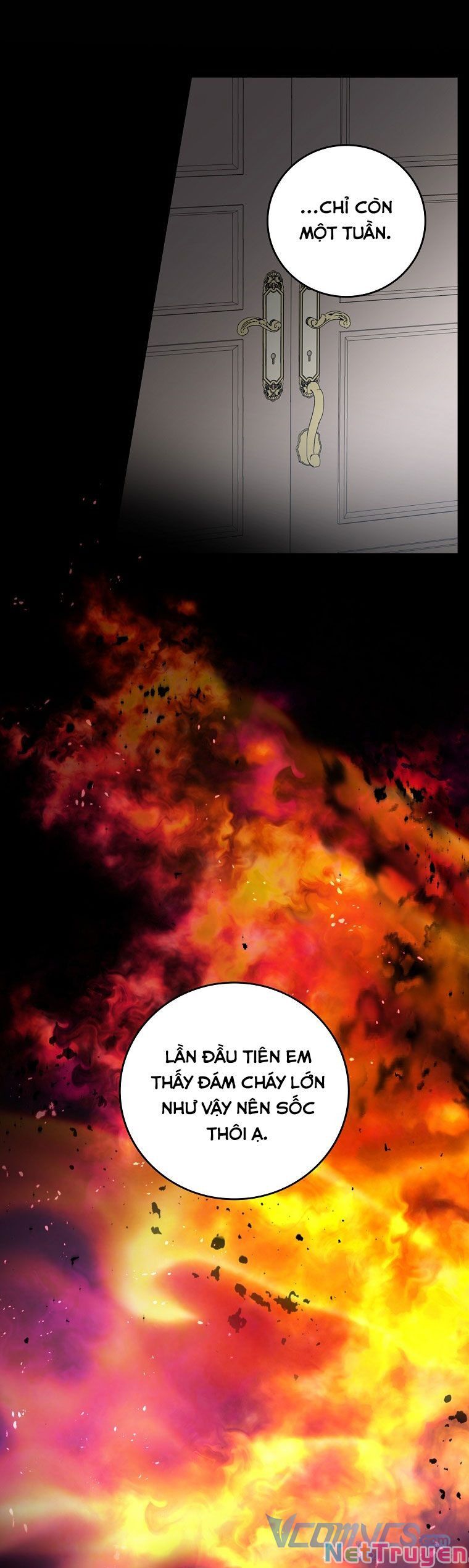 đừng chọc đứa em gái bé bỏng của chúng tôi chapter 95.1 19