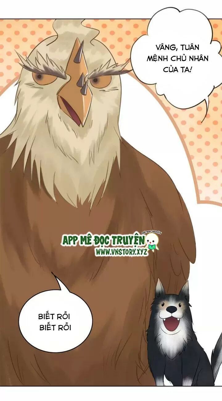 cực phẩm phế vật tiểu thư chapter 108 18