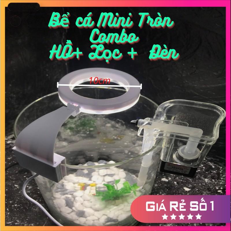 Bể cá mini để bàn COMBO kèm phụ kiện tiểu cảnh