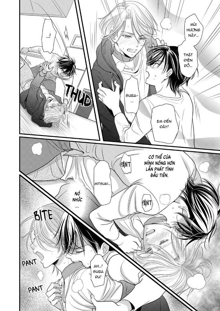 bạn đời dối trá chapter 19 24