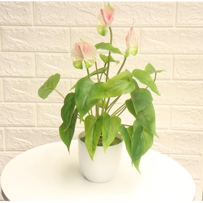 Chậu cây nhỏ trang trí nhà cửa, để tủ, cửa hàng, quán... Cây giả kèm chậu