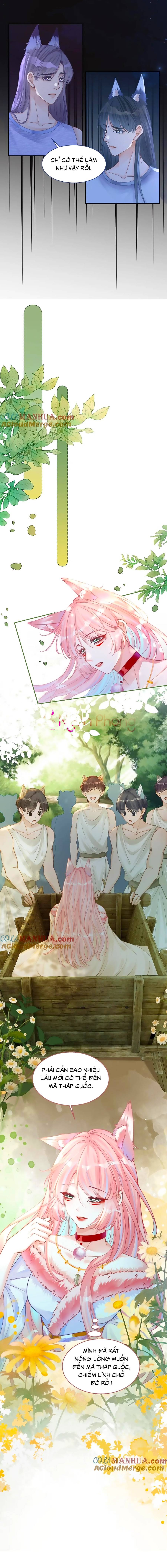 xuyên nhanh nữ phụ bình tĩnh chút chapter 168 5