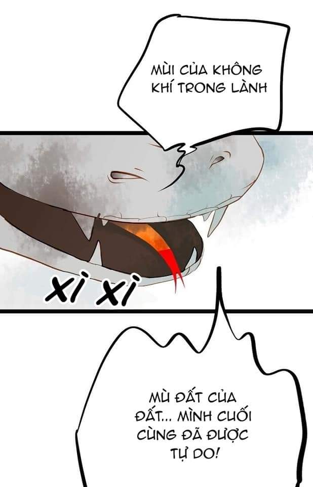 rắn xanh và mặt trăng đỏ chapter 0 14