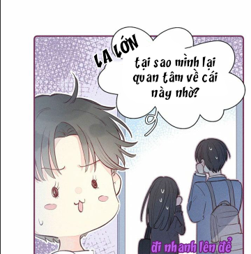 nỗi buồn của hoa cẩm tú cầu chapter 27 22