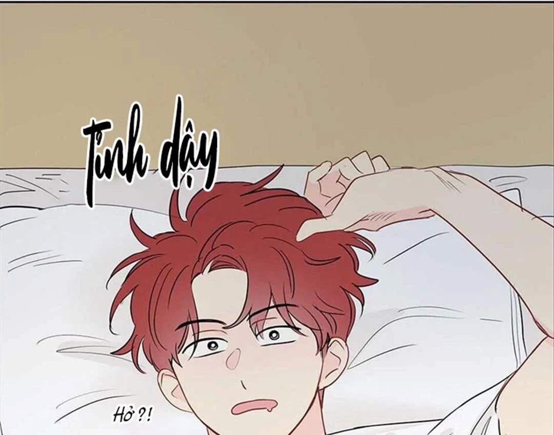 chuyện quái gì với giấc mơ đó vậy chapter 32 45