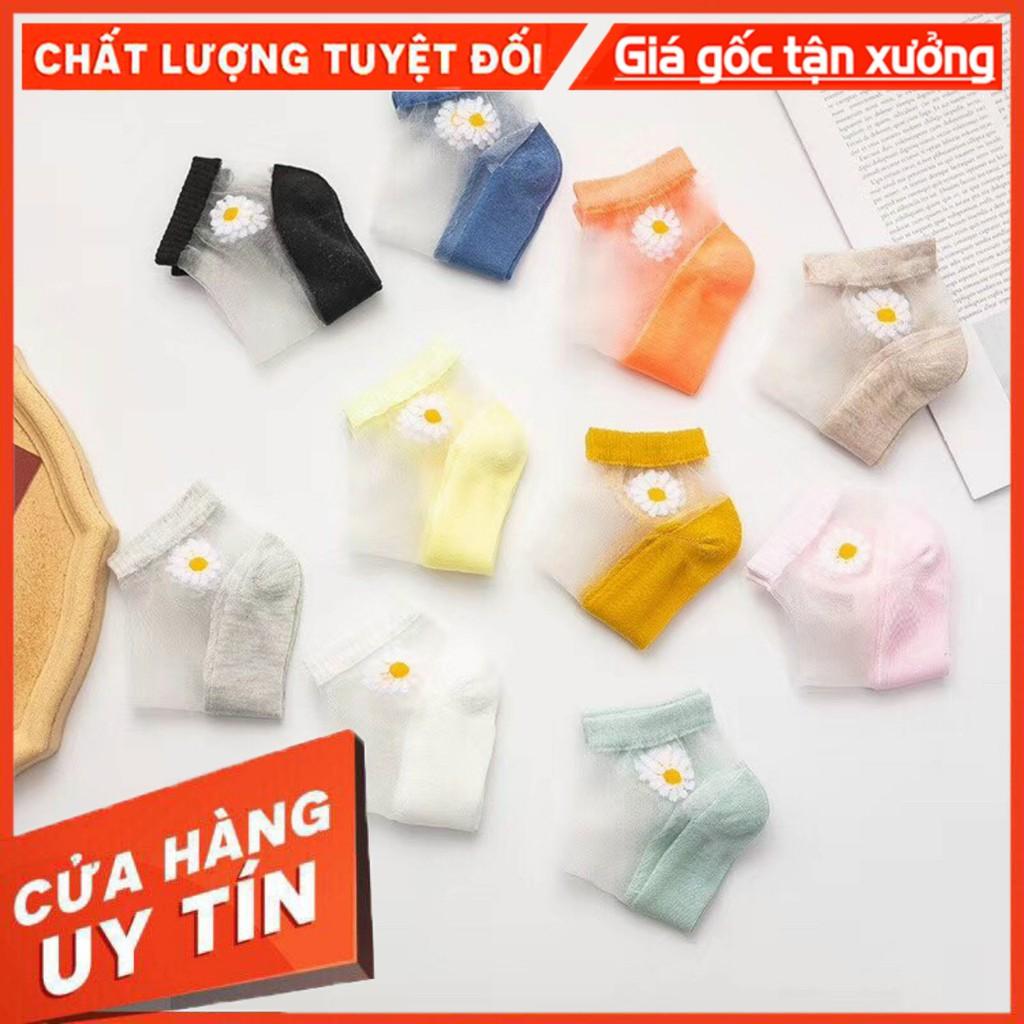 Tất Pha Lưới Thêu Hoa Cúc Siêu Xinh Combo Túi 10 Đôi
