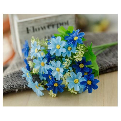 Cụm cúc cánh xẻ nhí