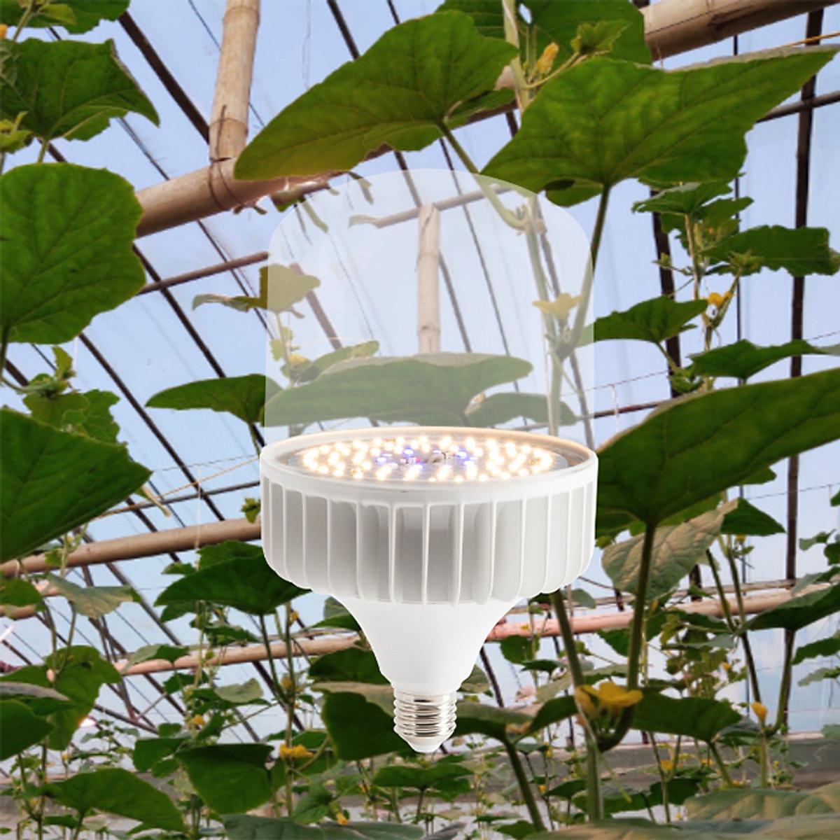 Đèn trồng cây, đèn quang hợp, vượt đông nhà lưới, nhà kính chính hãng Rạng Đông T135 WBU 50W