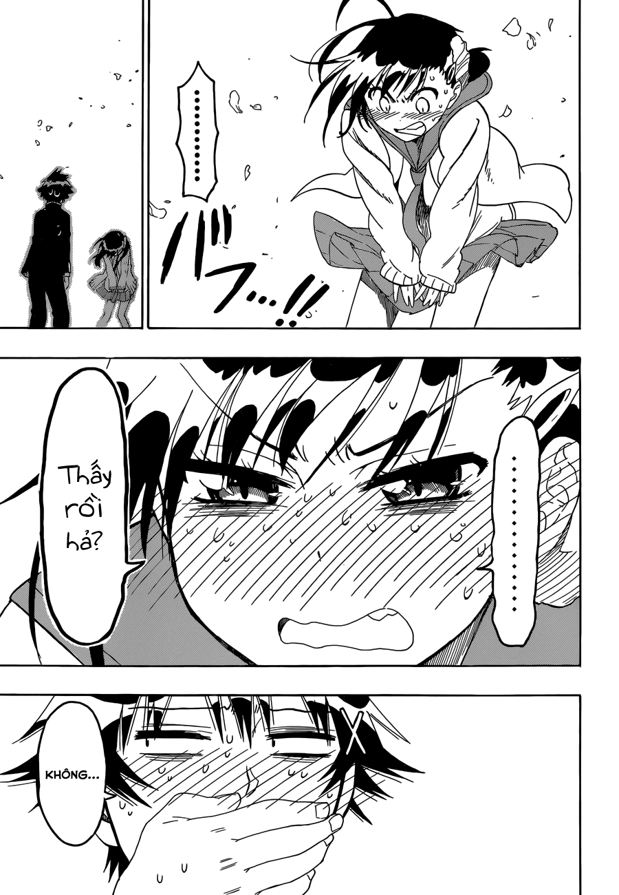 nisekoi - tình yêu giả tạo chapter 75 18