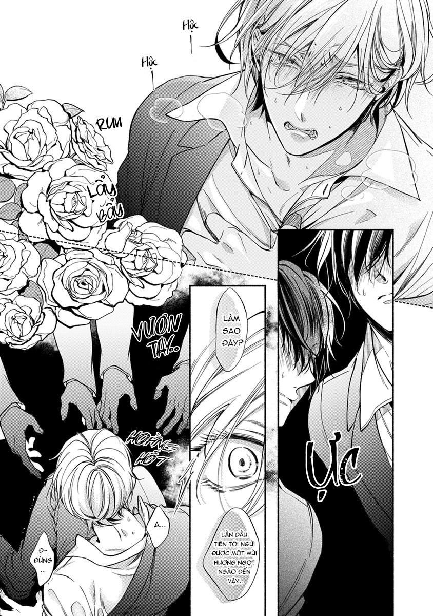 omega giả vờ kiên cường đó là bạn tình của tôi chapter 1 11