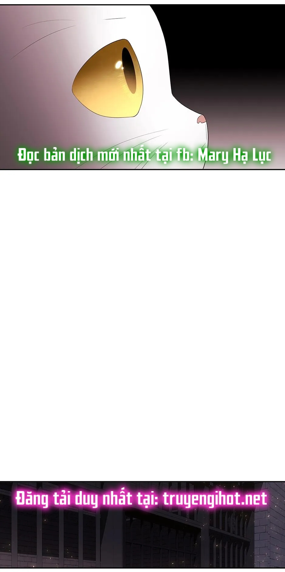 năm môn đệ của charlotte chapter 62 36