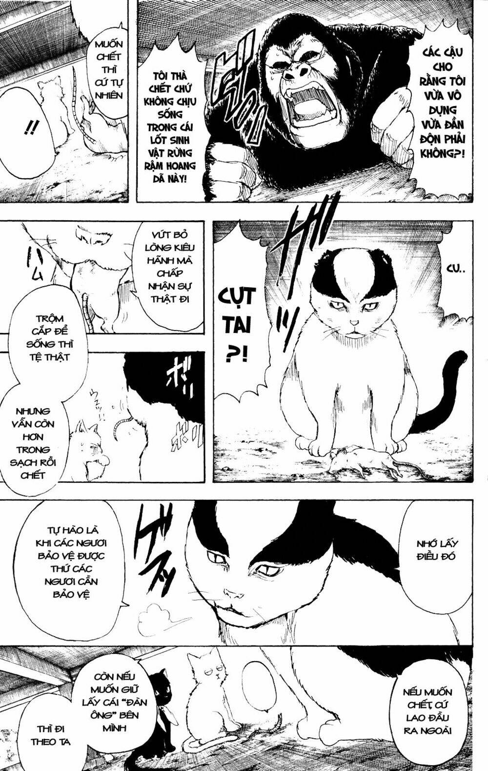 gintama - linh hồn bạc chapter 276 4