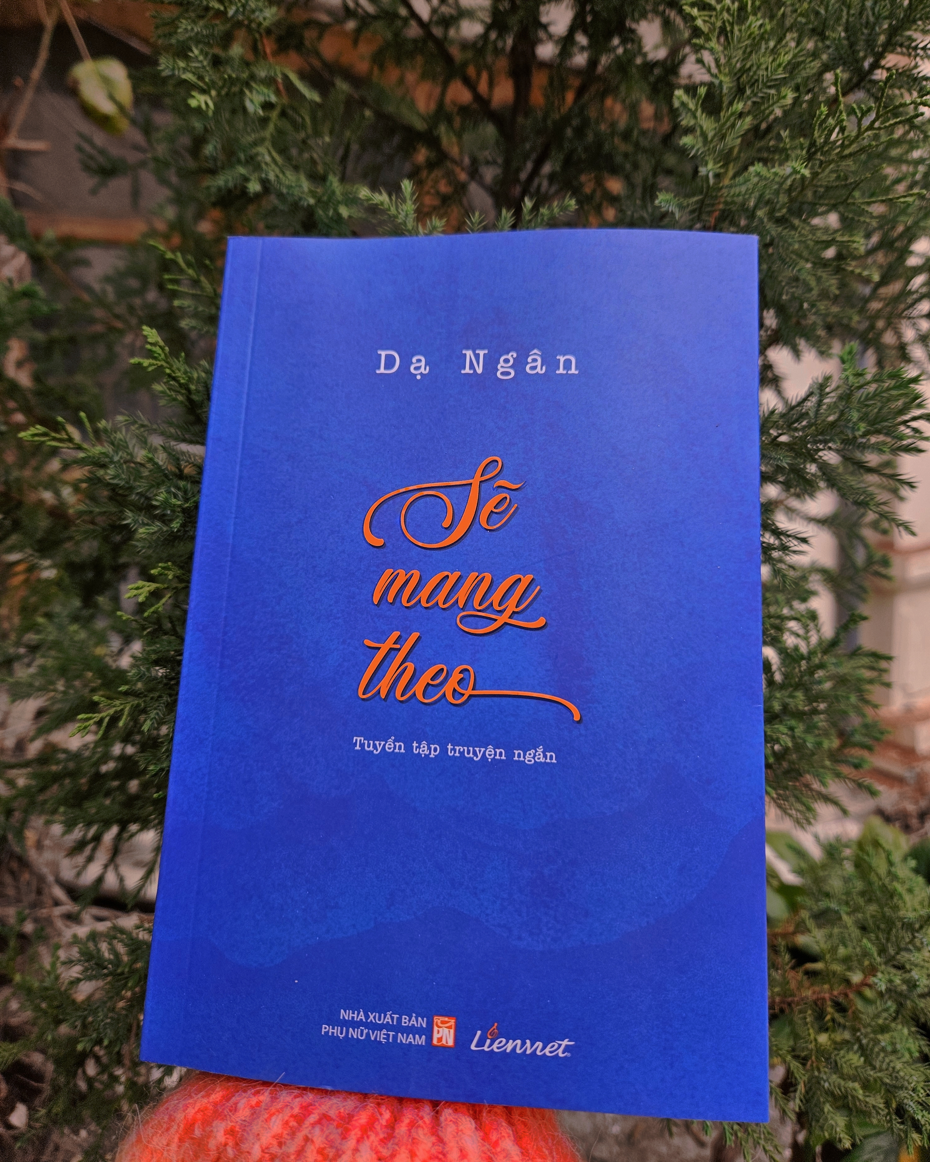 Sẽ mang theo (Tập truyện ngắn)
