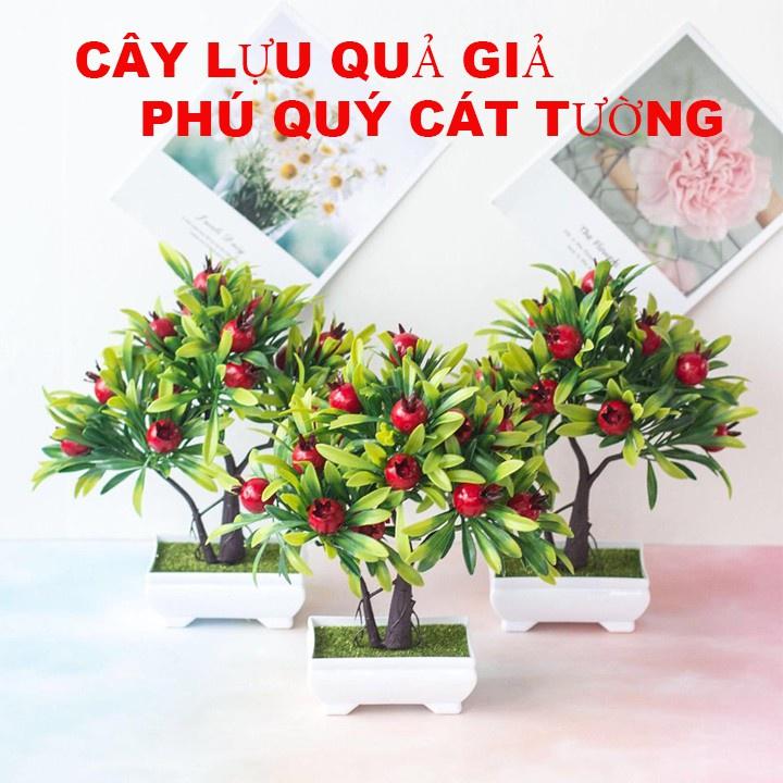 (Kèm chậu) Cây bonsai quýt, quất, lựu, ớt, nấm, dâu tây, cherry - Hoa giả trang trí, đề bàn