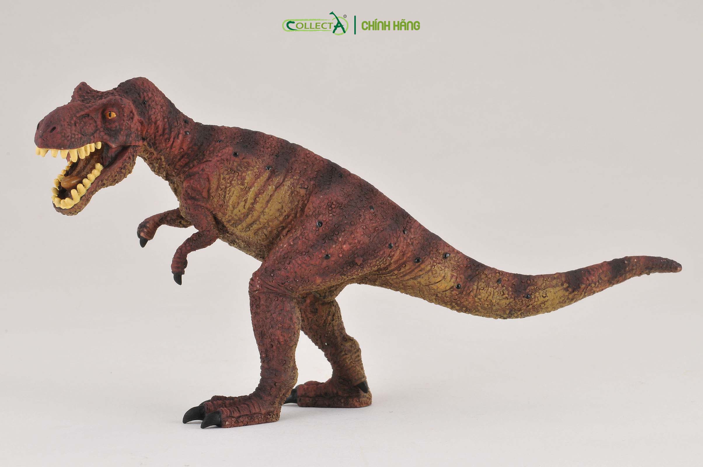 Mô hình thu nhỏ: Khủng Long Tyrannosaurus Rex  - Tyrannosaurus Rex , hiệu: CollectA, mã HS 9654080[88036] -  Chất liệu an toàn cho trẻ - Hàng chính hãng