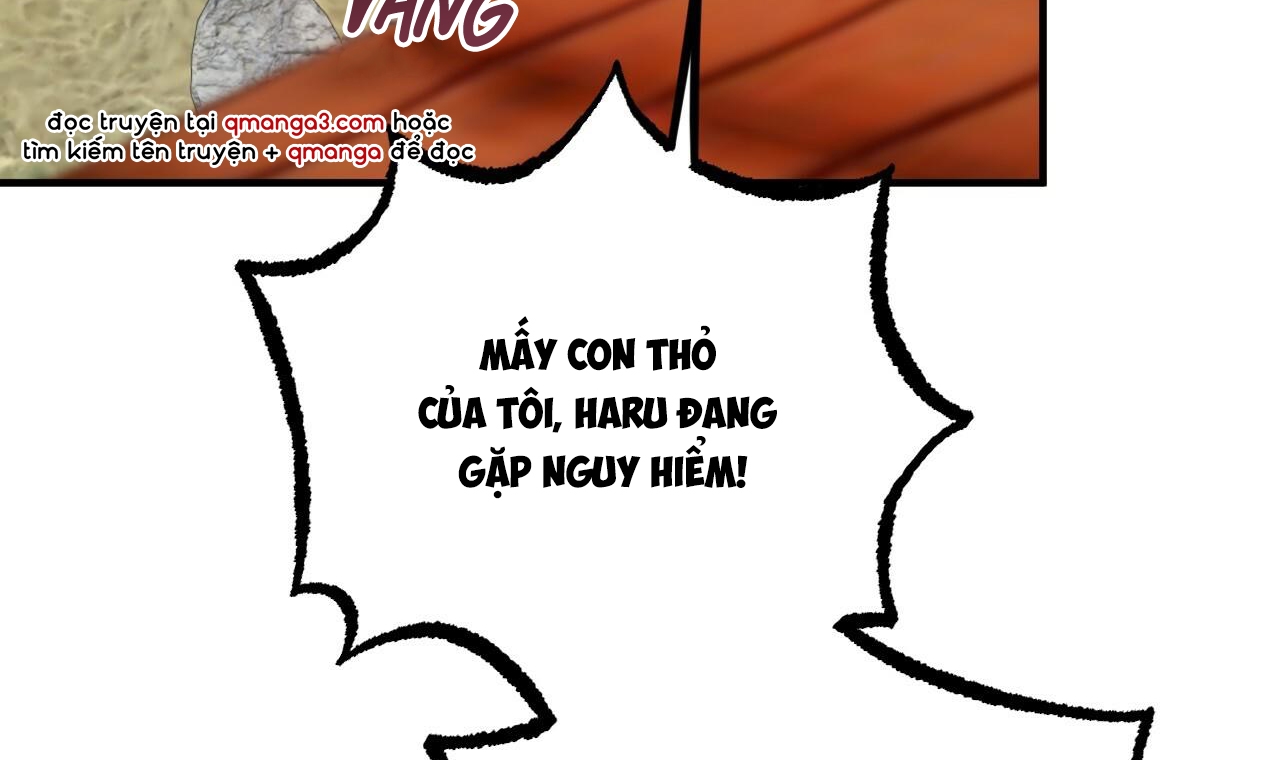 đàn thỏ của habibi chapter 33 237