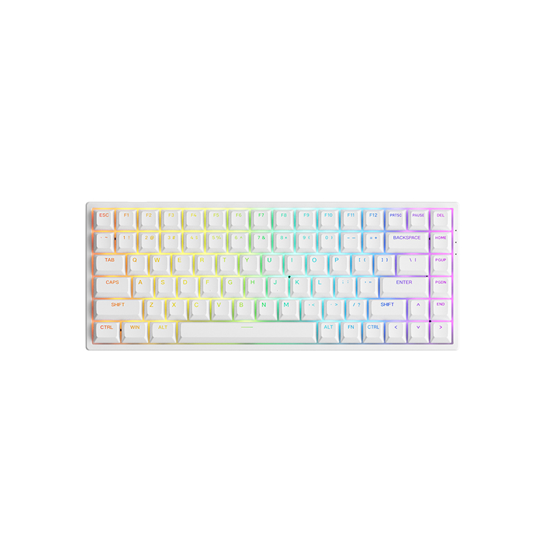 Bàn phím cơ AKKO 3084 v2 RGB Black/White (Foam tiêu âm / Hotswap / AKKO CS Jelly switch)_Mới, hàng chính hãng