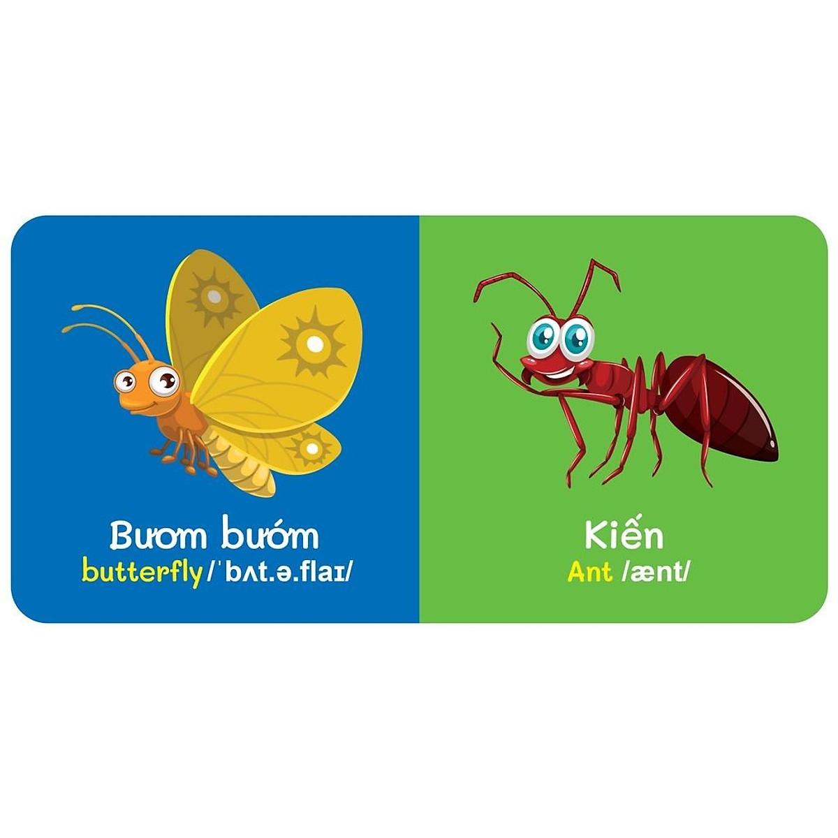 Bộ Hộp Baby's First Picture Dictionary - Từ Điển Bằng Hình Đầu Tiên Của Bé - Dành Cho Bé Từ 0-6 Tuổi - Hộp Vàng - 2022