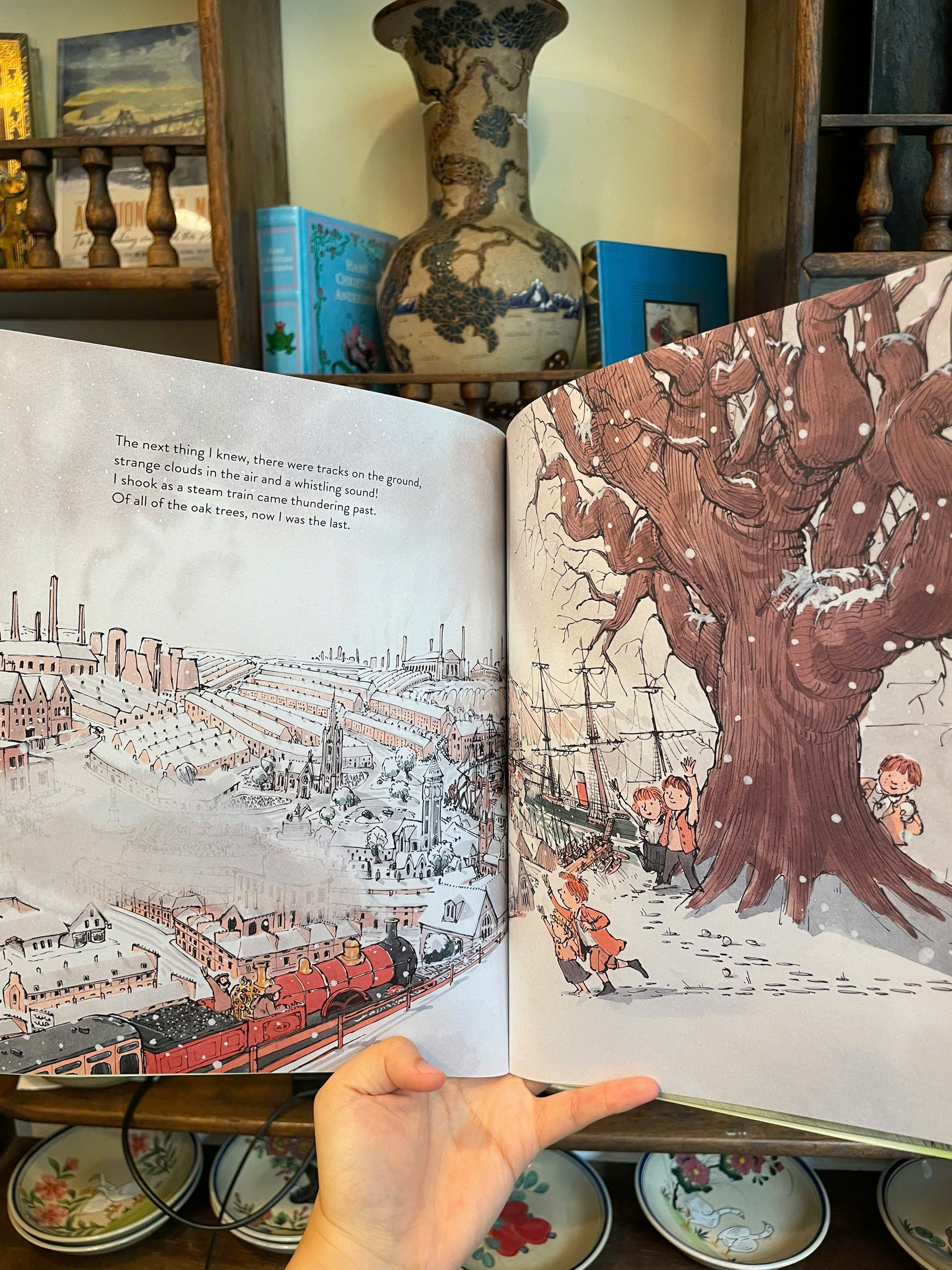 Sách - What Did the Tree See by Charlotte Guillain - Children Picture book in English - Ngoại Văn