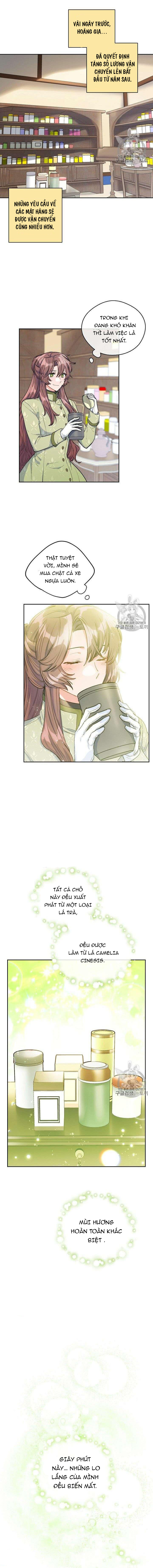 50 công thức pha trà của nữ công tước chapter 82 6