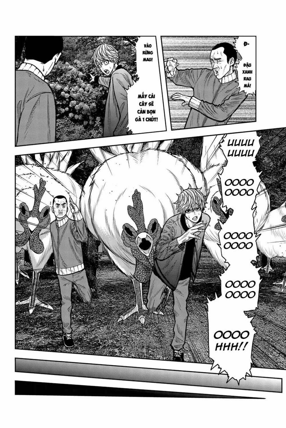 tiếng gáy sát thủ chapter 39 7