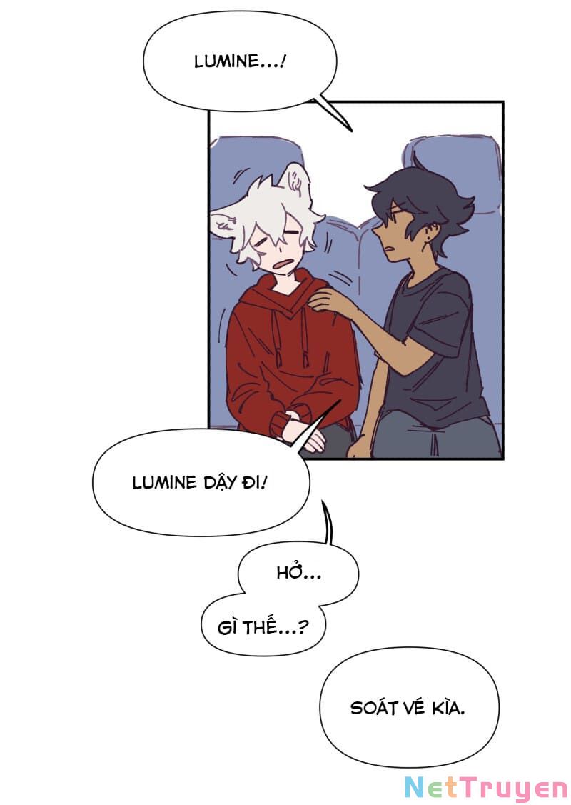 lumine - cội nguồn ánh sáng chapter 117 27