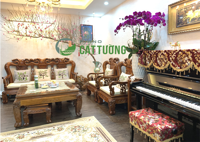 Khăn phủ đàn PIANO CÁT TƯỜNG,TK6, màu đỏ QUYẾN RŨ style HOÀNG GIA cao cấp, vừa trang trí vùa giúp bảo vệ đàn tối đa khỏi bụi bẩn x 1 bộ gồm khăn phủ nóc đàn và khăn phủ ghế đàn piano♫